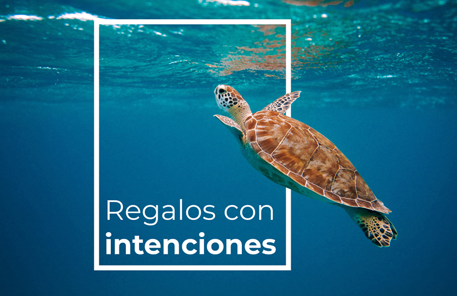 incentivos ecofriendly